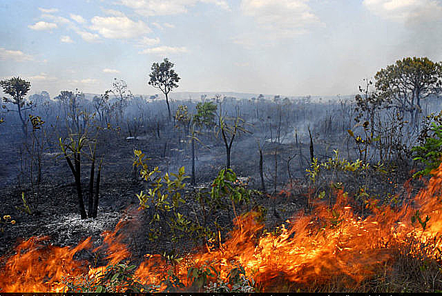 Fires in the Cerrado