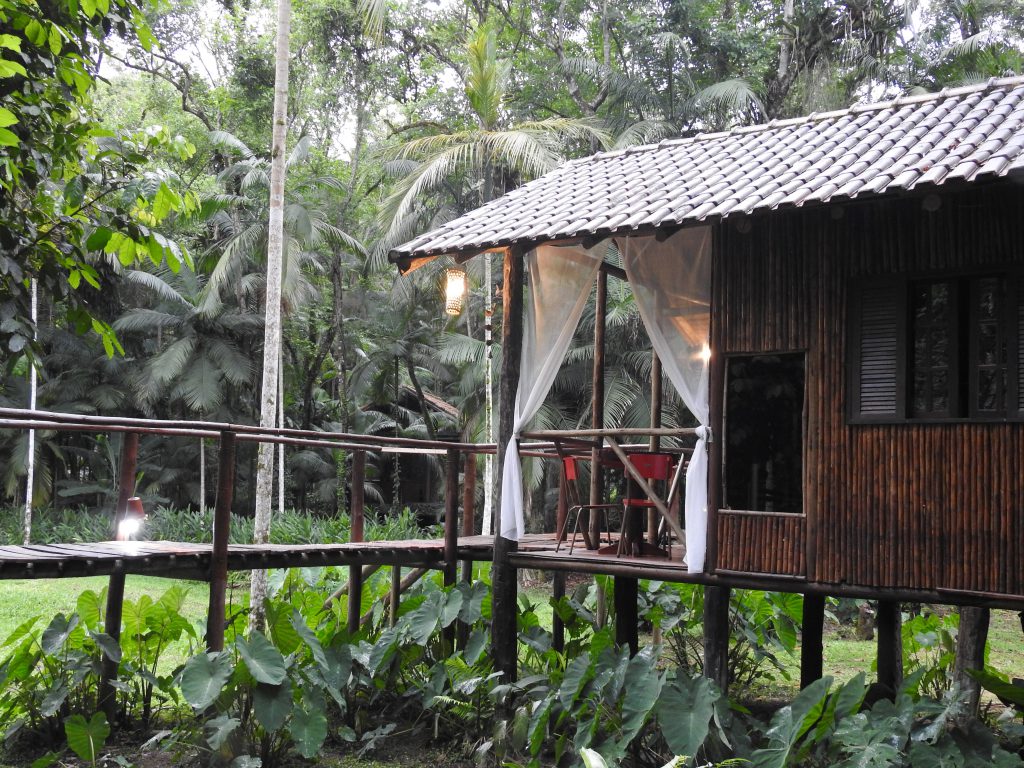 Visão externa do bangalô no glamping, com estrutura de madeira e natureza em volta.