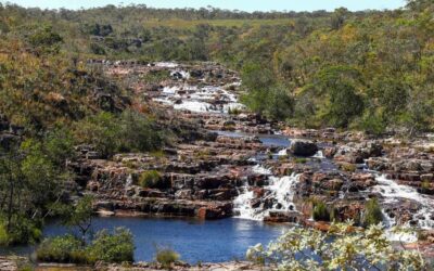The best tours in Chapada dos Veadeiros