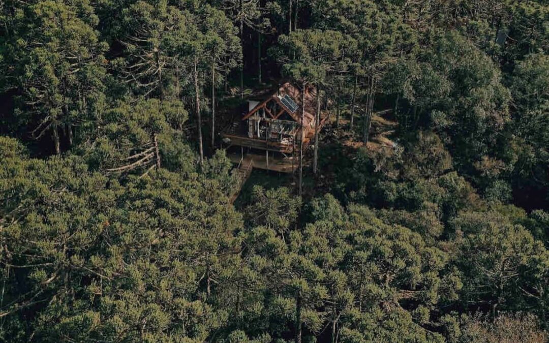 Relaxe e esqueça da rotina em uma cabana na floresta