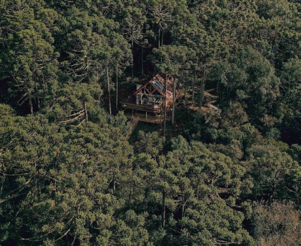 cabana na floresta