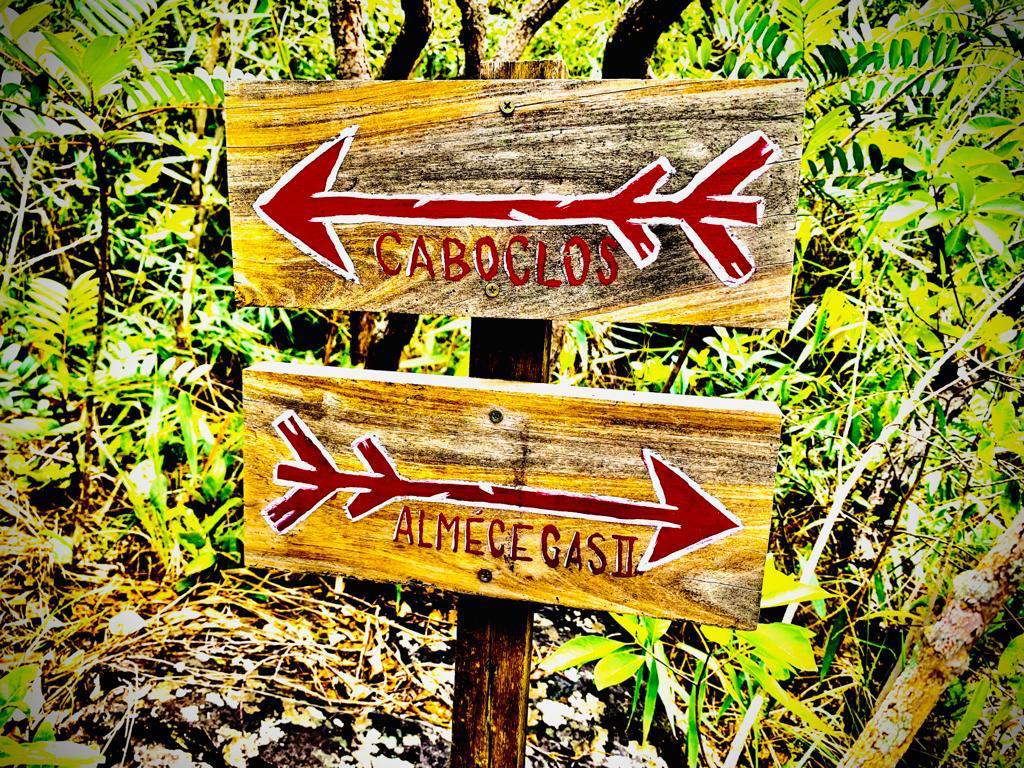 passeios de carnaval na chapada dos veadeiros