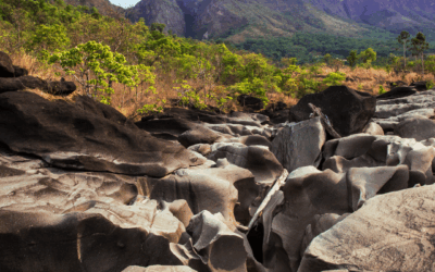 Chapadas in Brazil: A Complete Guide for Nature Lovers
