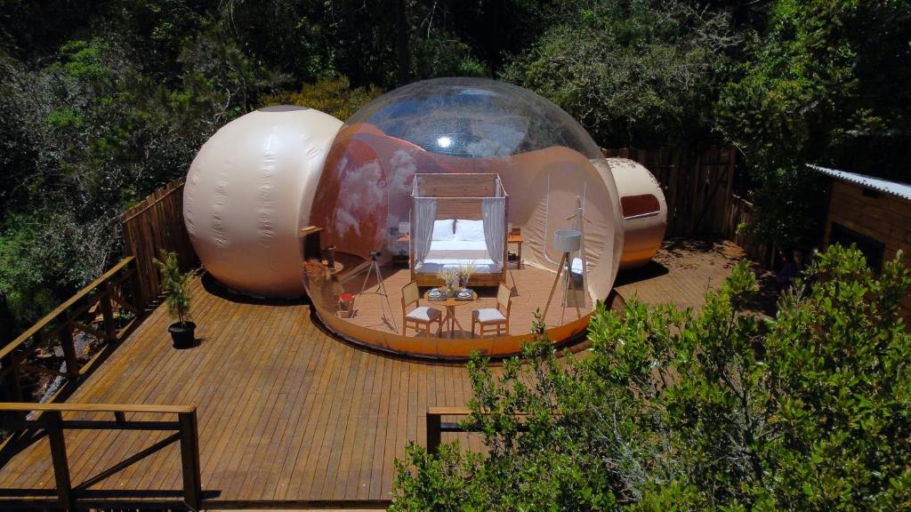 zion bubble glamping 