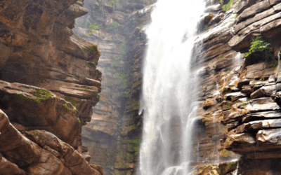 Best Waterfall Hikes